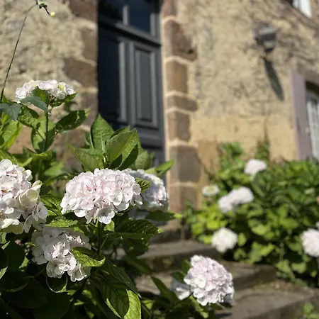 L'oasis Familiale - Piscine - Parking - 10 Pers Domfront-en-Champagne