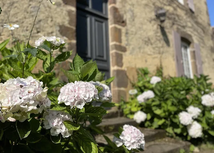 L'oasis Familiale - Piscine - Parking - 10 Pers Domfront-en-Champagne